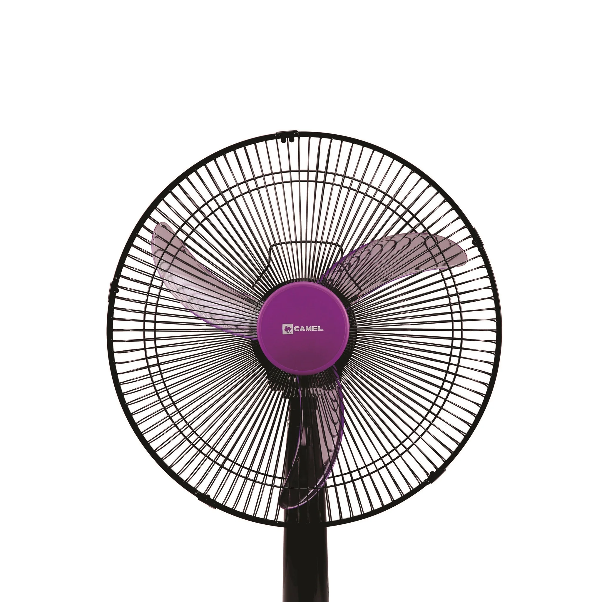 CDF-1416C CAMEL DF 16" BLK-VIOLET - Image 4